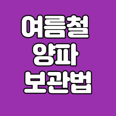 양파-보관법