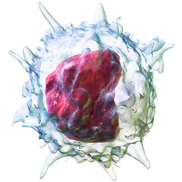  만성림프구성백혈병(Chronic Lymphocytic Leukemia, CLL) : 만성림프구성백혈병 증상, 생존율, 위험인자, 림프 붓기
