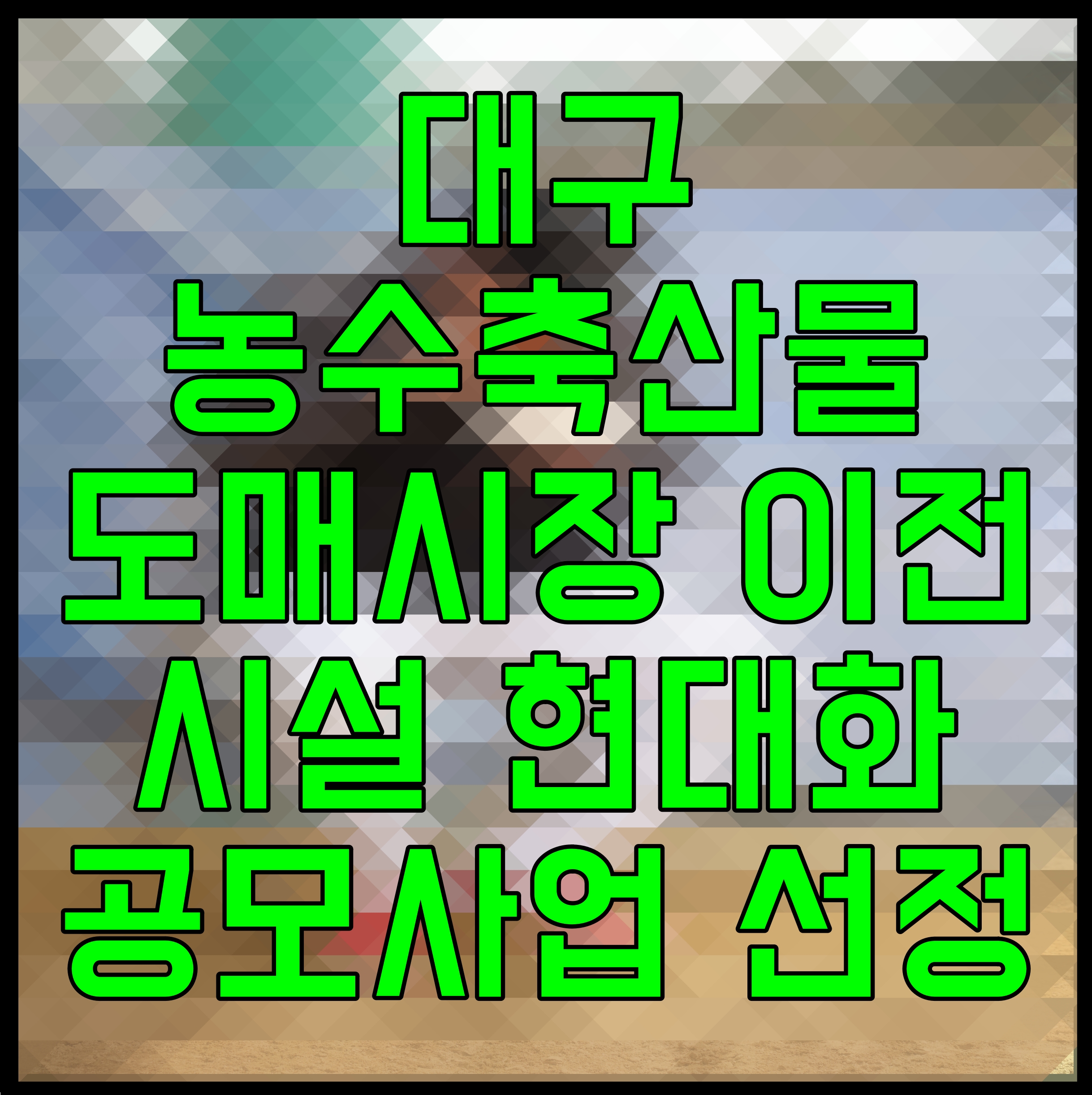  대구 농수축산물도매시장 이전 시설 현대화 공모사업 선정