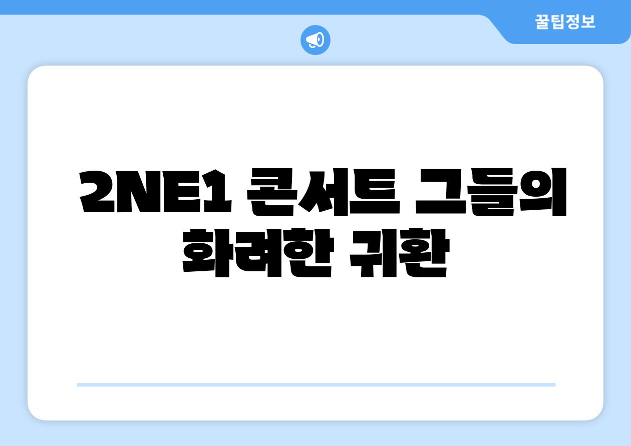  2NE1 콘서트 그들의 화려한 귀환