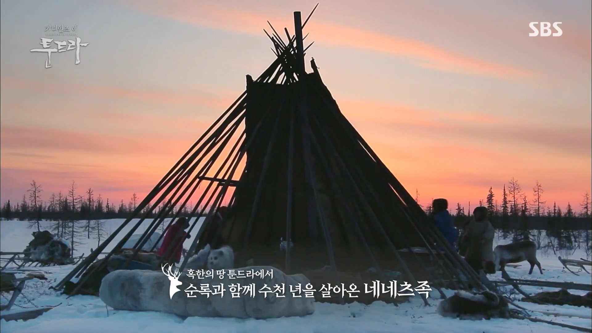 일요 특선 다큐멘터리.E313.230423p.H264-F1RST.mp4_20230423_135033.385.jpg