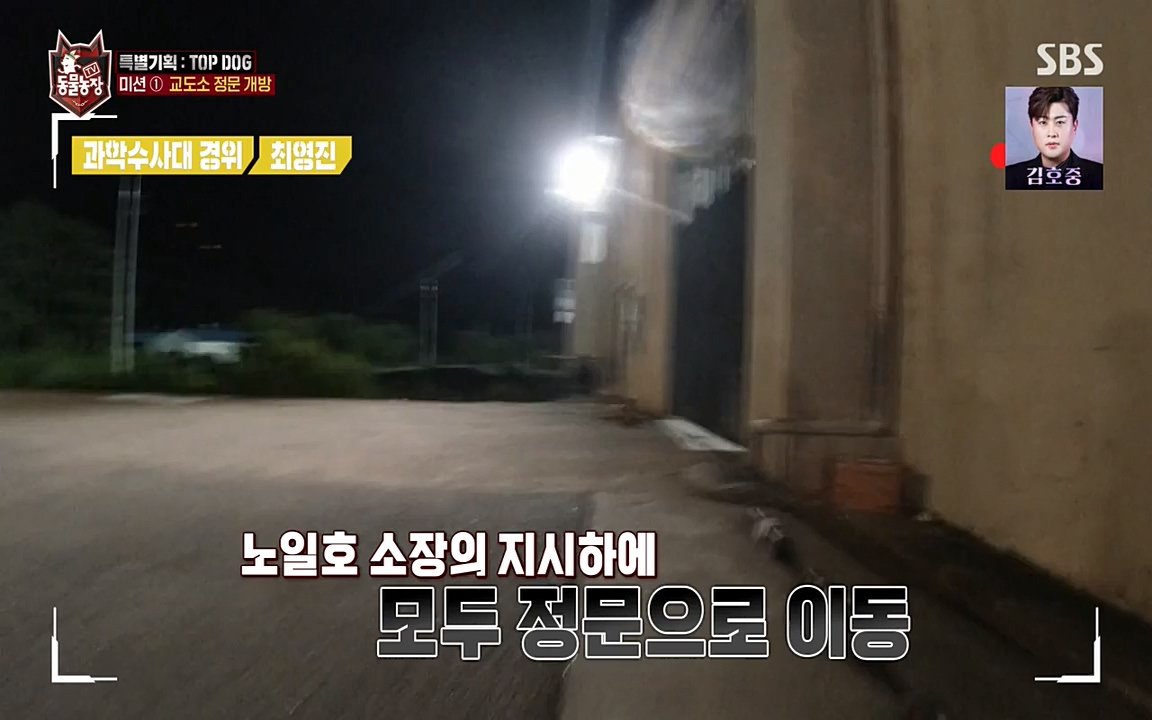 TV 동물농장.E1085.220905p-NEXT.mp4_20220904_173603.618.jpg