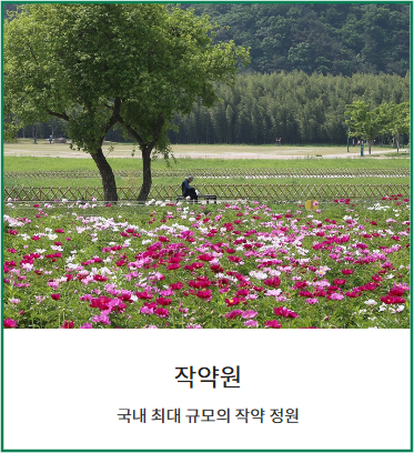 태화강 국가정원 봄꽃축제-작약원