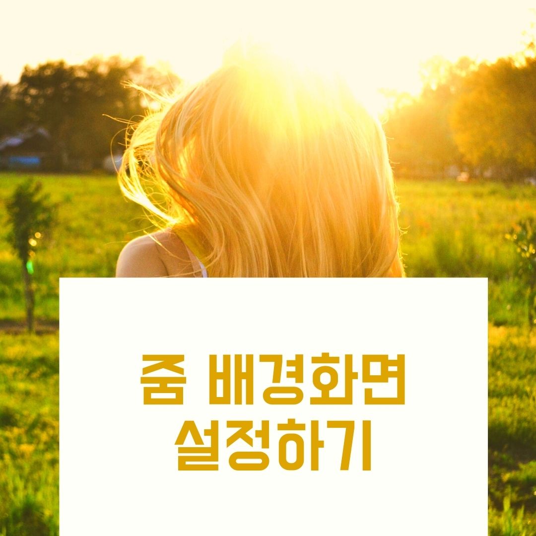  zoom 배경화면 설정하기