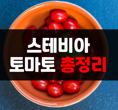  스테비아 토마토의 효능 및 부작용, 단맛과 당뇨, 먹는법 총정리
