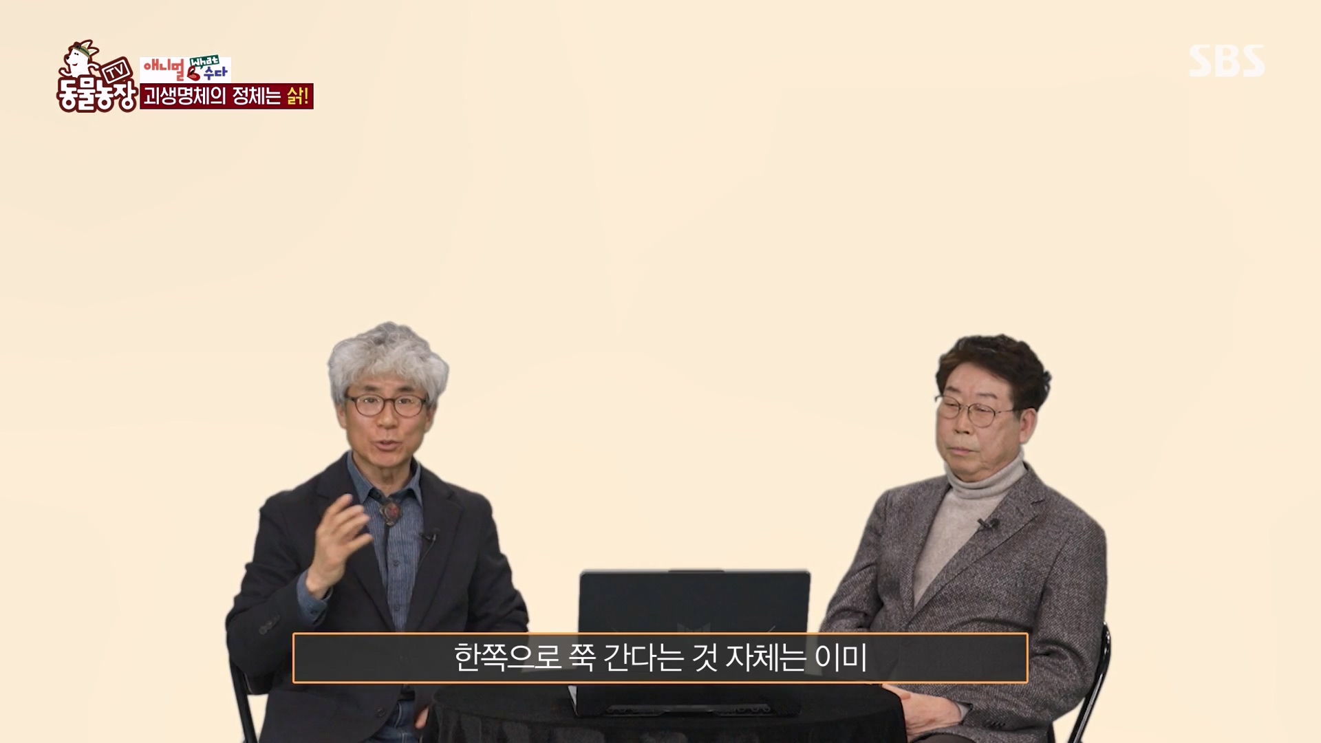 TV 동물농장.E1164.240324p-NEXT.mp4_20240324_170507.341.jpg