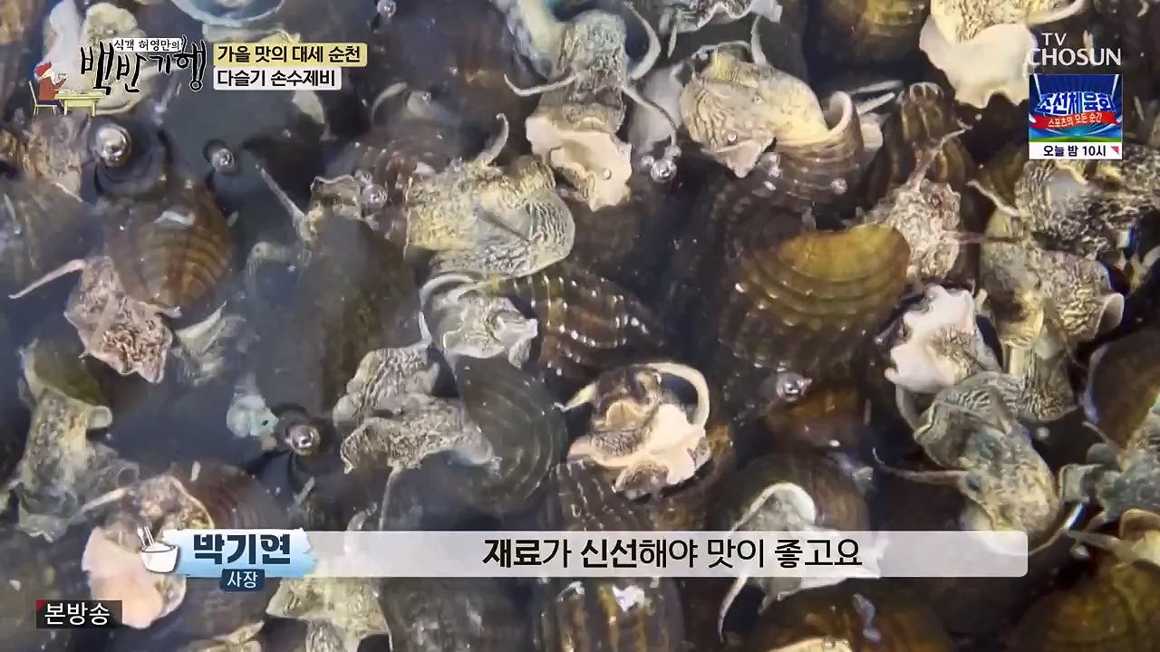 식객 허영만의 백반기행.E216.230916p-NEXT.mp4_20230916_164944.906.jpg