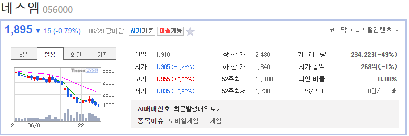  네스엠 주가 전망
