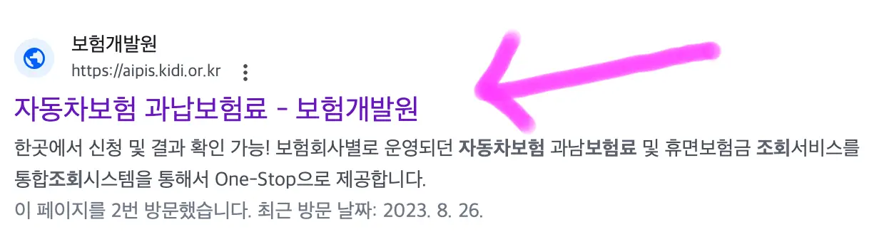 검색하면 보이는 보험개발원이라고 쓰여있는 곳에 들어가 줍니다.