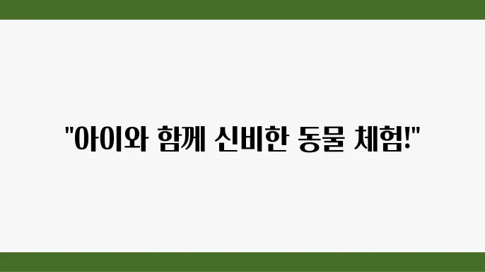 가평 신비동물원 매력