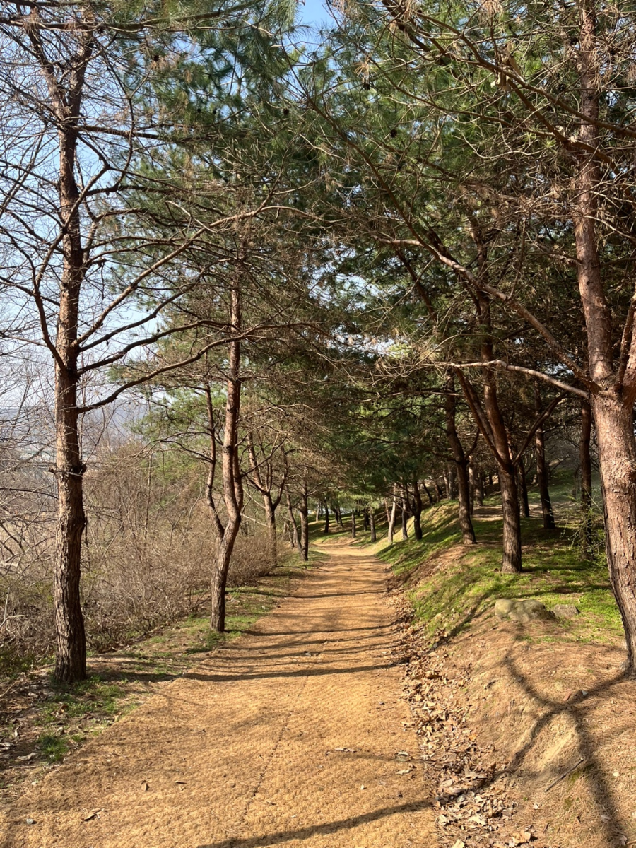 산책길멋진곳2