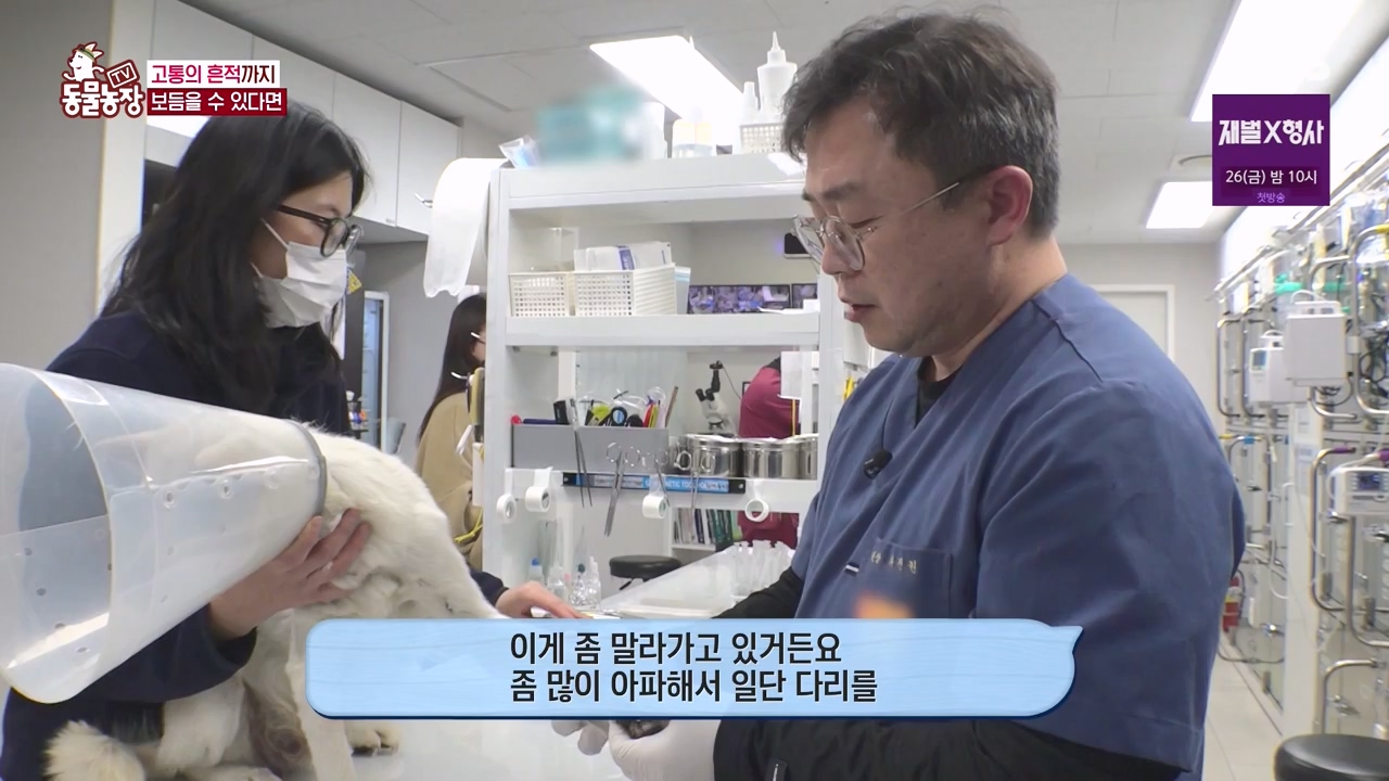 TV 동물농장.E1155.240122p-NEXT.mp4_20240121_145932.496.jpg