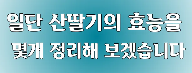 일단 산딸기의 효능을 몇개 정리해 보겠습니다