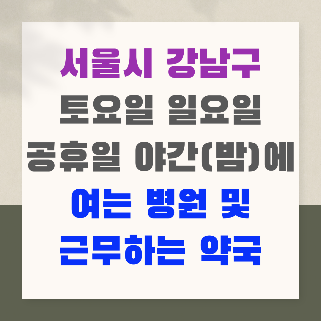 서울시 강남구 토요일 일요일 공휴일 야간(밤)에 여는 병원 및 근무하는 약국