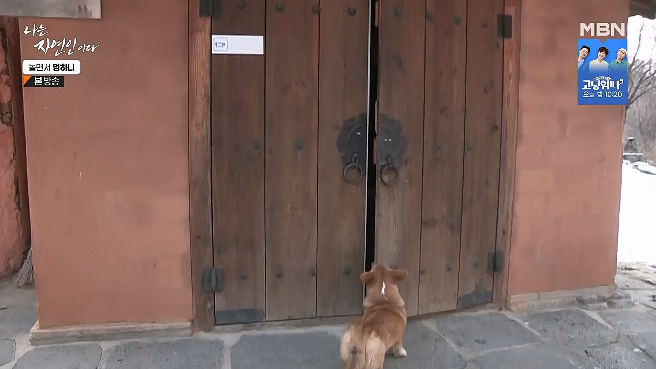 나는 자연인이다.E538.230126p-NEXT.mp4_20230126_194013.882.jpg