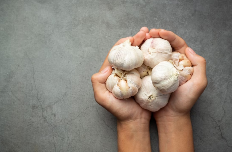 마늘 효능 부작용 알아보기 2