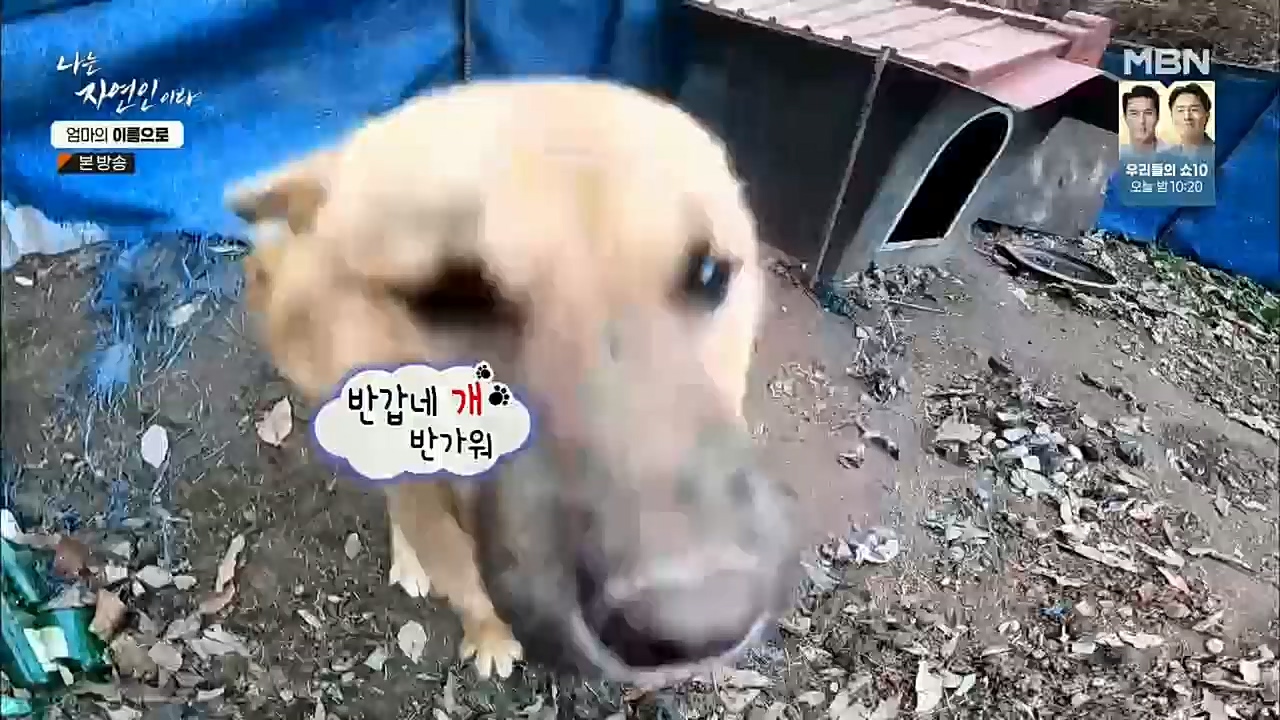 나는 자연인이다.E531.221208p.H264-F1RST.mp4_20221208_204227.024.jpg