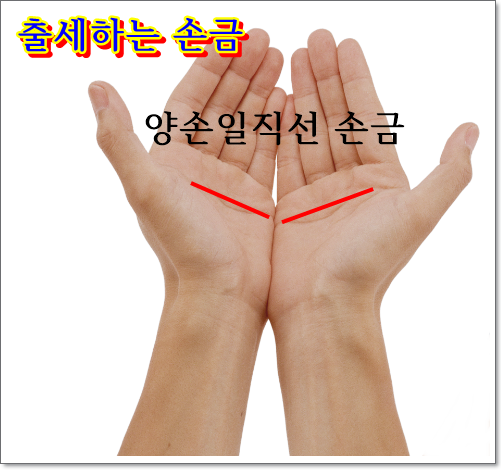  대출세할 손금 10가지 ~출세하는 손금 또는 출세못하는 손금