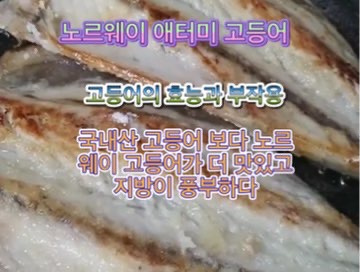 노르웨이_애터미_고등어_효능_부작용