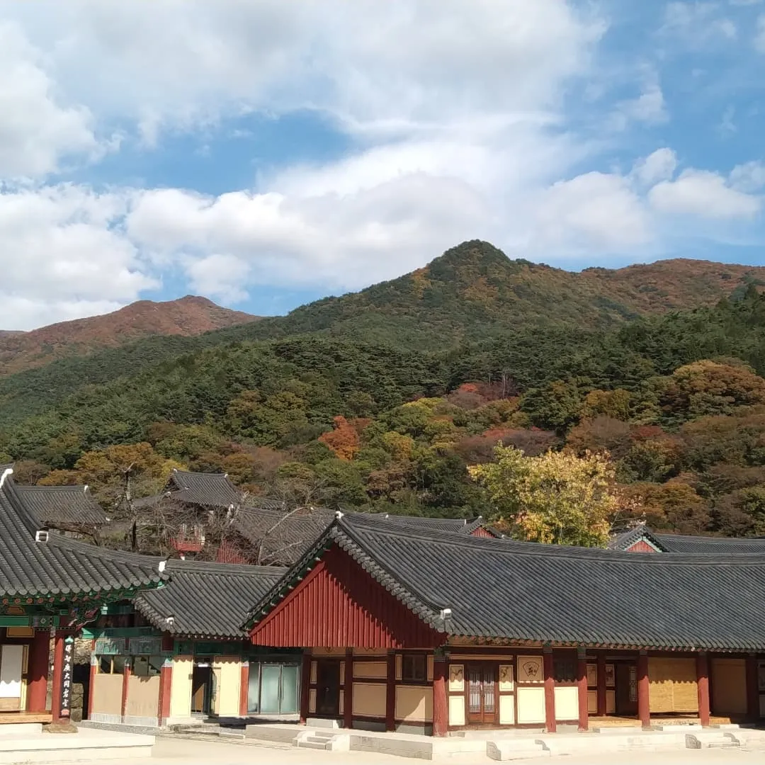 자연 속 템플스테이 베스트 10 (내소사 백담사 숨겨진 명사찰)_3
