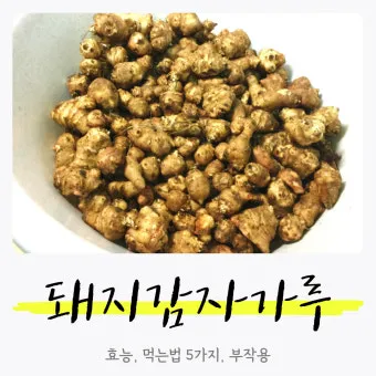 돼지감자 돼지감자차 효능 즙 먹는법 가루_6