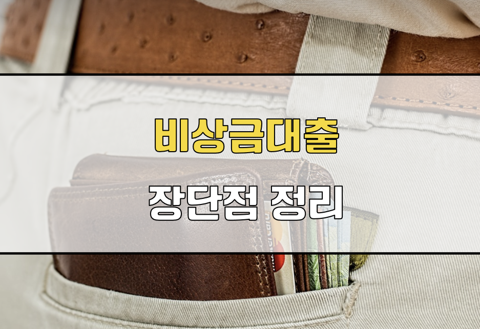 비상금대출 장단점