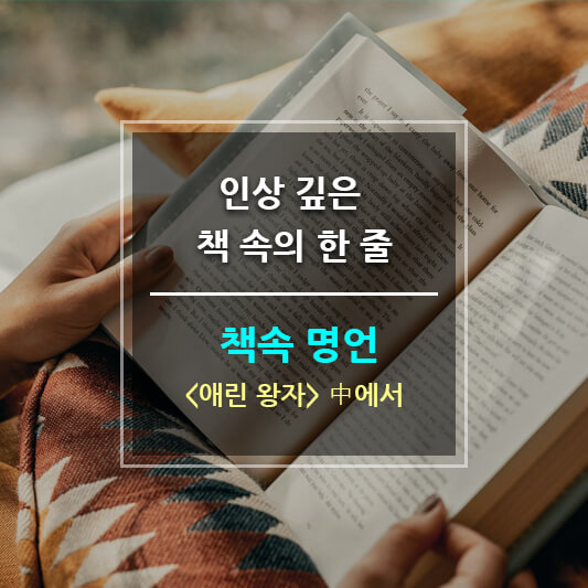 인상 깊은 책 속의 한 줄 책 속 명언 - 애린 왕자 中에서