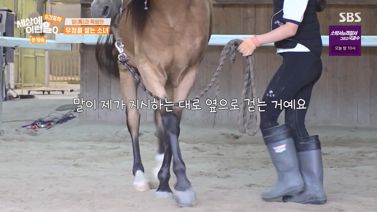 순간포착 세상에 이런일이.E1240.230806p-NEXT.mp4_20230806_161414.573.jpg