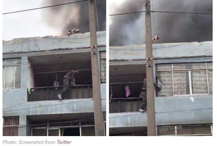  화재가 난 강아지 보호소에 들어간 '노숙자'...어떻게 됐을까 Man Experiencing Homelessness Climbs Into Dog Shelter on Fire to Rescue 25 Pups