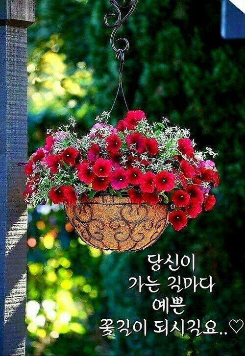  오늘의 좋은글187번째