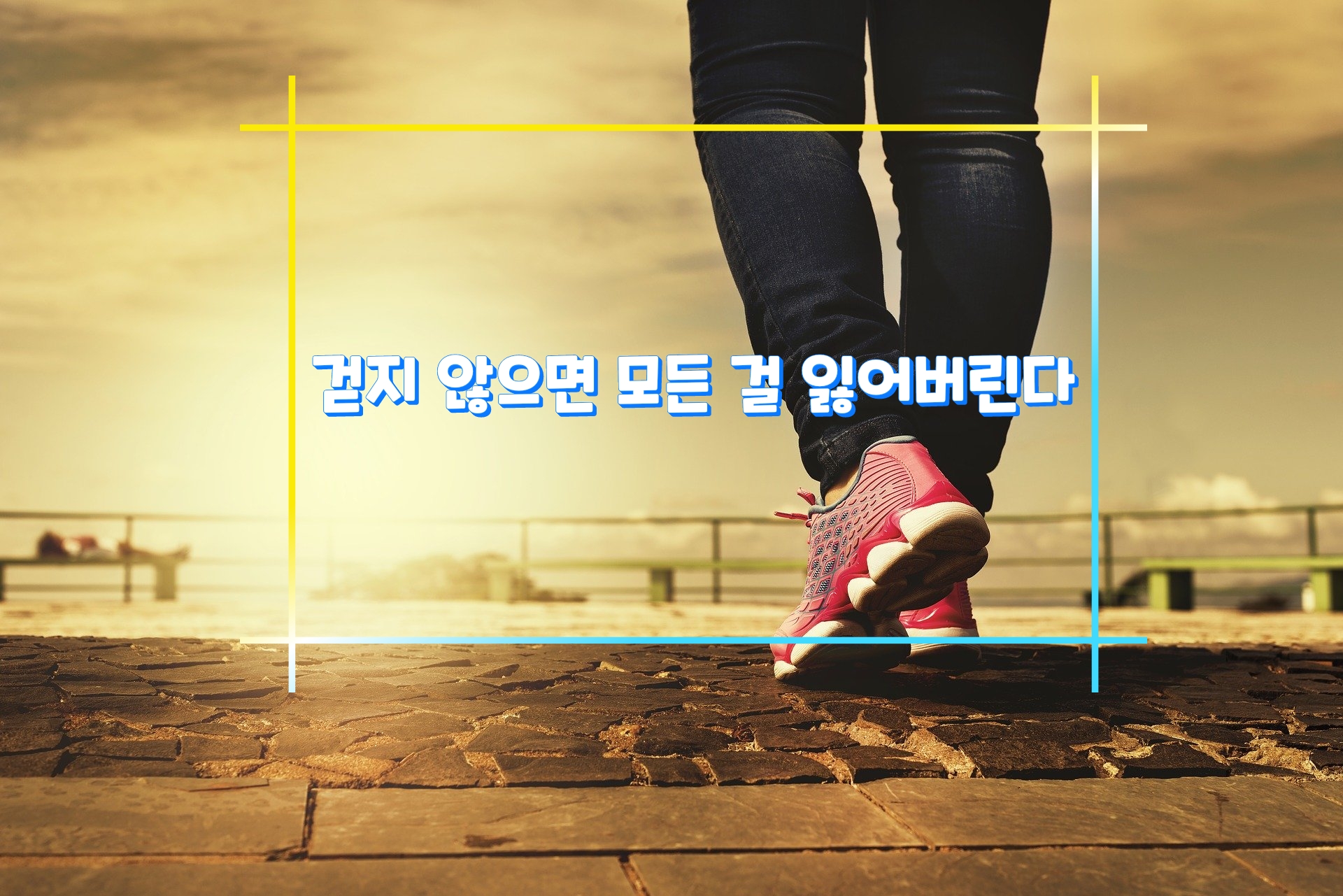  걷지 않으면 모든 걸 잃어버린다