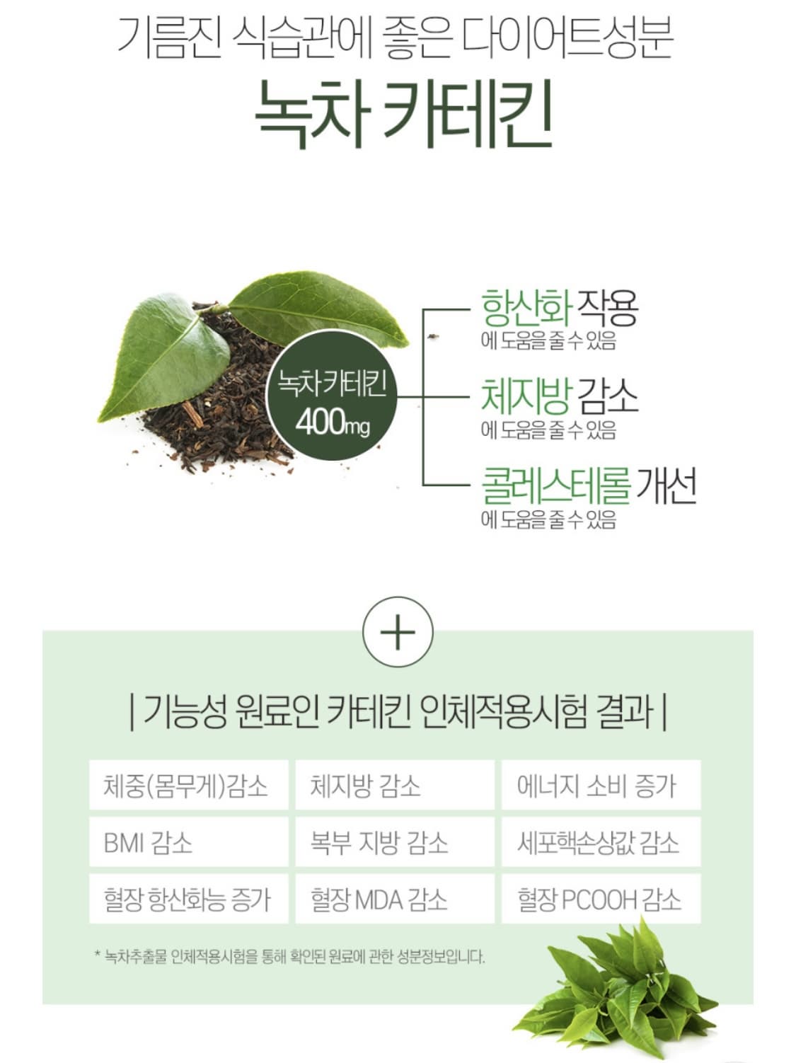그린몬스터(GREEN MONSTER) 이미지