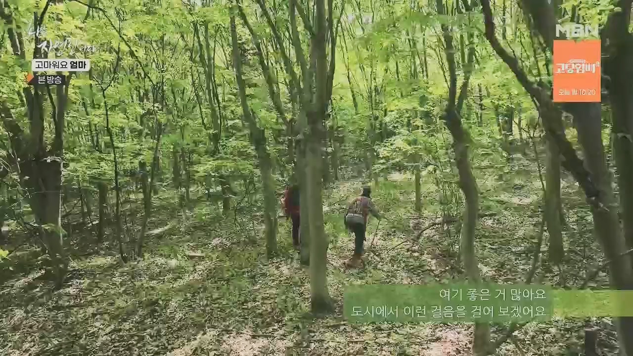 나는 자연인이다.E554.230518p.H264-F1RST.mp4_20230518_194514.497.jpg