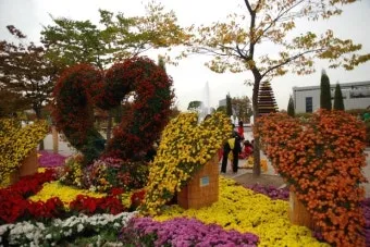 5월 수도권 꽃구경 꽃축제 10선_2