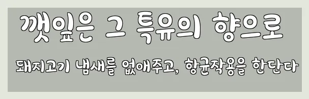  깻잎은 그 특유의 향으로 돼지고기 냄새를 없애주고, 항균작용을 한단다