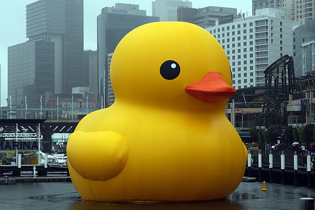 라라바이 이미지