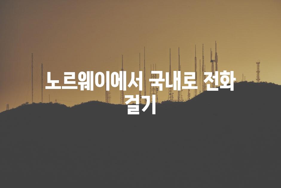 노르웨이에서 국내로 전화 걸기