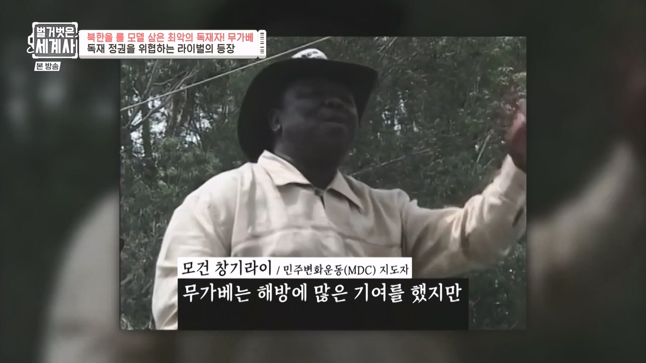 벌거벗은 세계사.E119.231004p-NEXT.mp4_20240511_162805.713.jpg