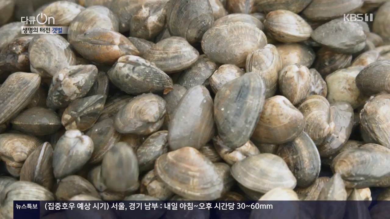 다큐 온.E206.230723p-NEXT.mp4_20230724_214218.454.jpg