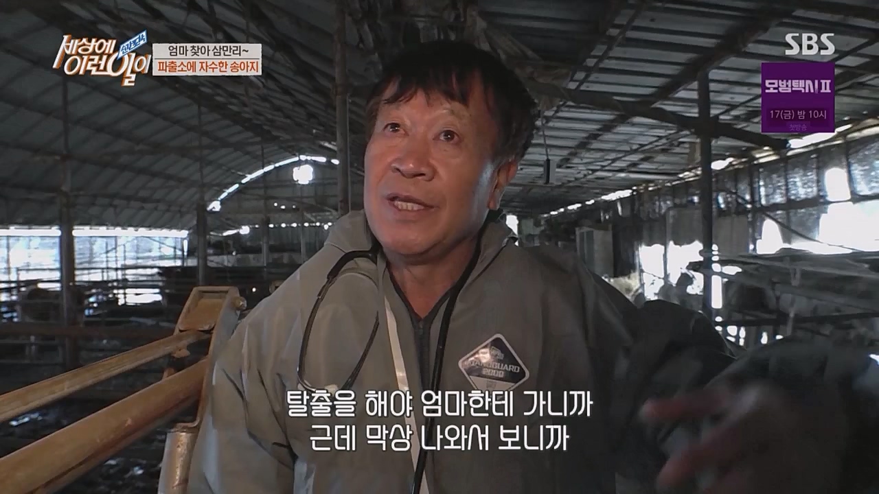 순간포착 세상에 이런 일이.E1217.230215p.WANNA.mp4_20230215_194725.359.jpg