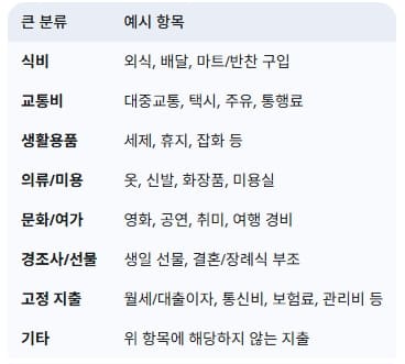 지출-항목별-분류하기-예시