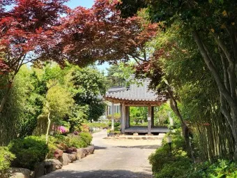 영암 가볼만한곳 베스트10 현지인 추천 필수코스_14