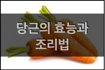  당근의 효능