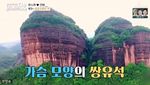 돌다방 이미지