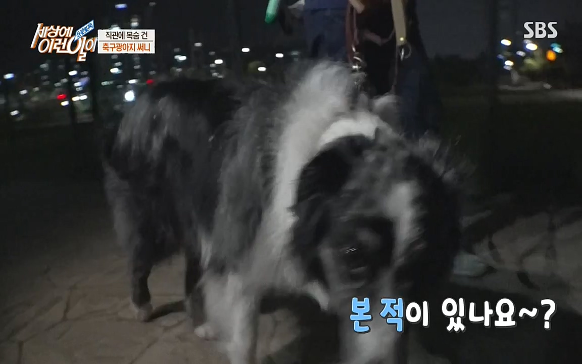 순간포착 세상에 이런일이.E1188.220713p-NEXT.mp4_20220713_175336.100.jpg