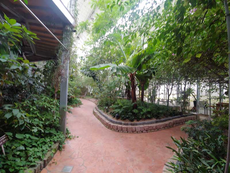 바오밥식물원-베이커리카페-산책길