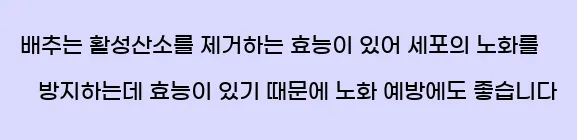  배추는 활성산소를 제거하는 효능이 있어 세포의 노화를 방지하는데 효능이 있기 때문에 노화 예방에도 좋습니다