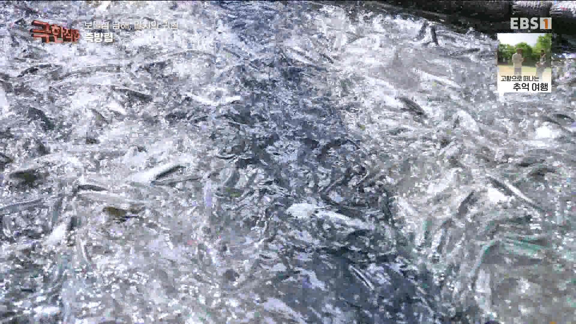 극한 직업 - 보물섬 남해, 멸치의 귀환 1080p.mp4_20230612_202041.616.jpg