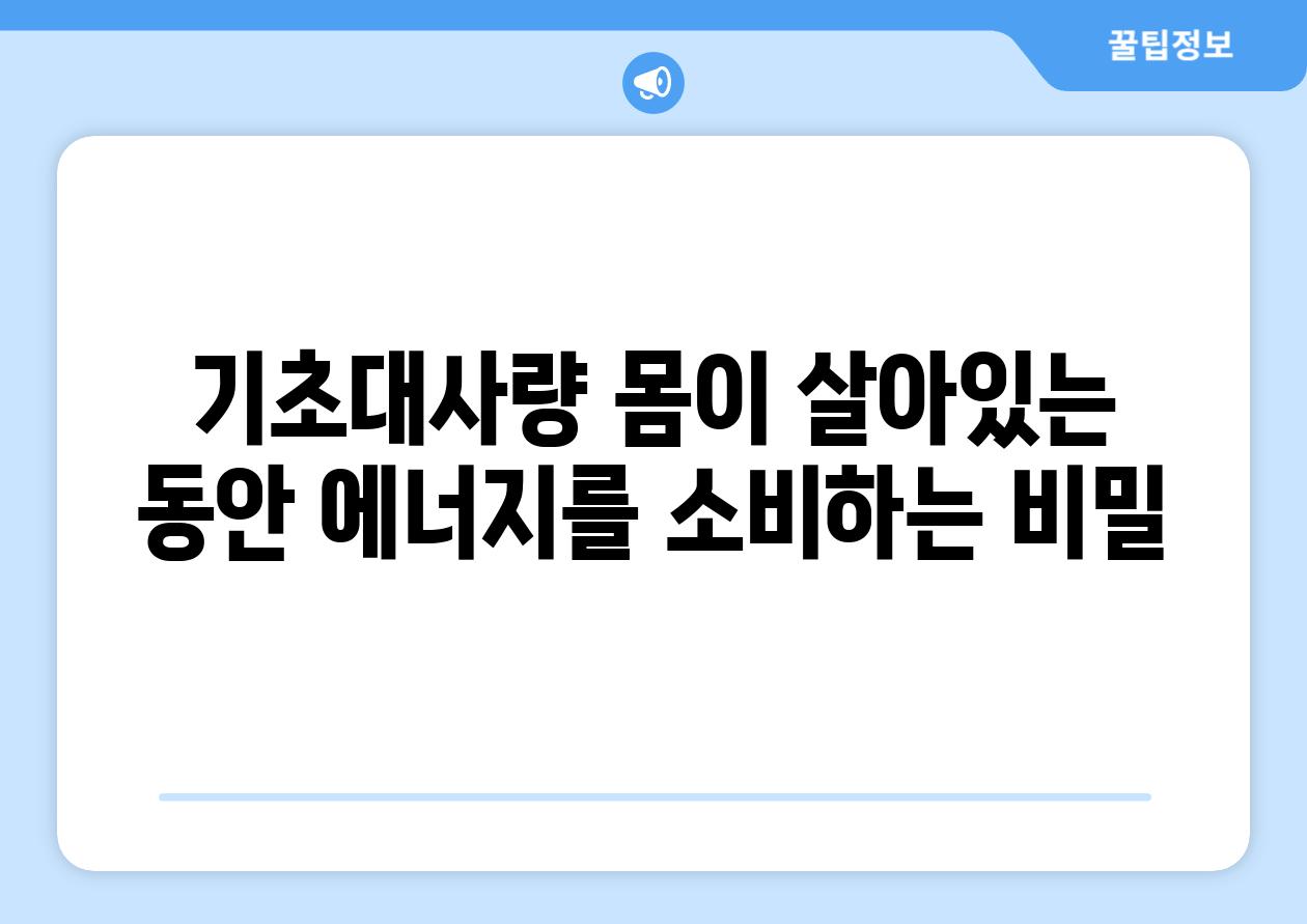 기초대사량 몸이 살아있는 동안 에너지를 소비하는 비밀