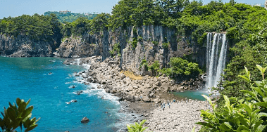 제주도 렌트카